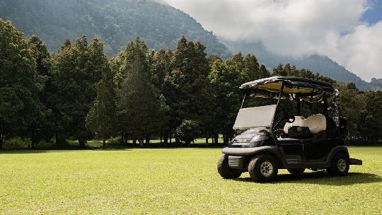 Golf Cart parked on a fairway, with trees and mountains in background.